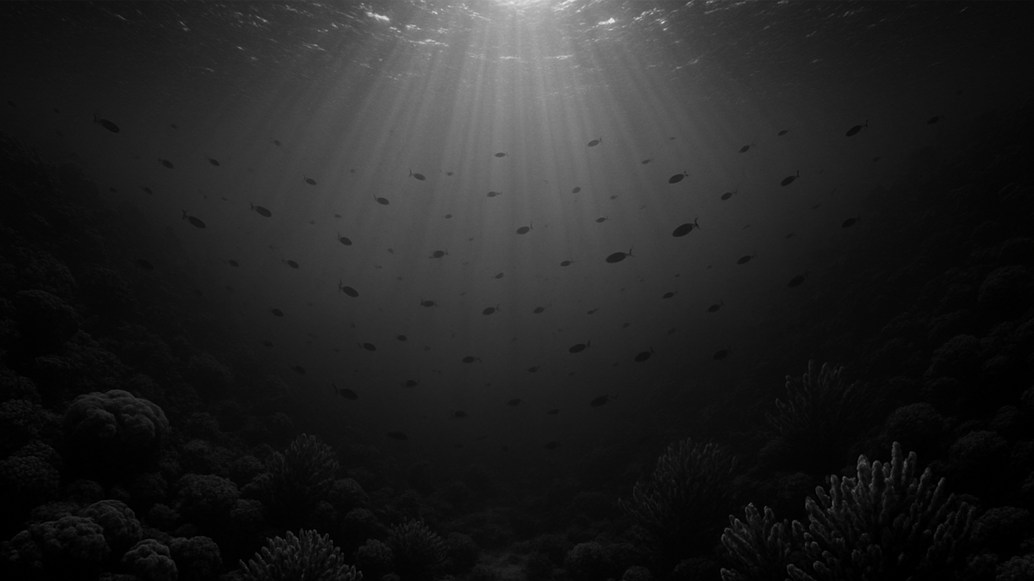 Ocean background